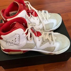 Air Jordan 6 Retro “alternative”